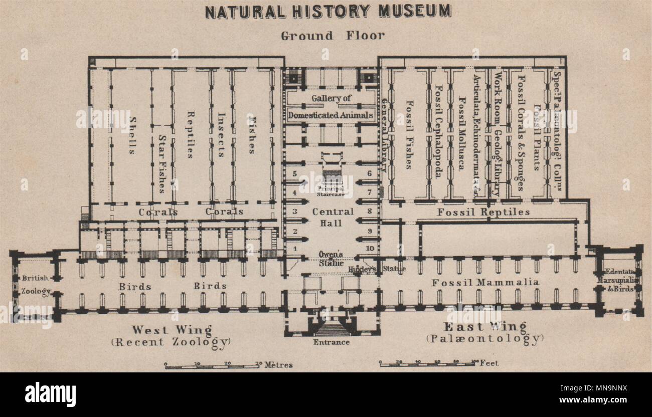 NATURAL HISTORY MUSEUM ground floor plan. South Kensington