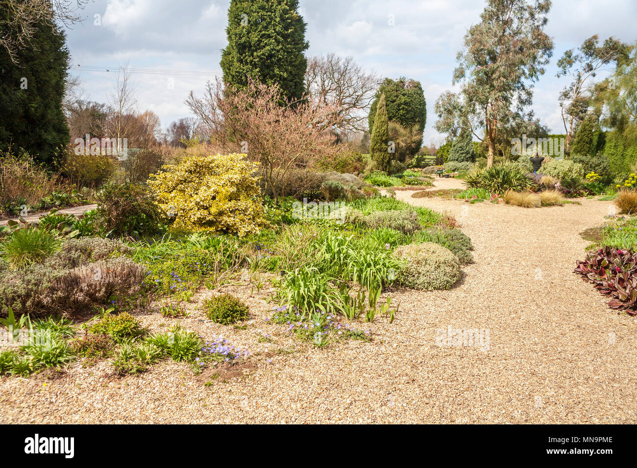 Landscaped garden and paths The dry gravel garden for drought resistant plants in Beth Chatto's