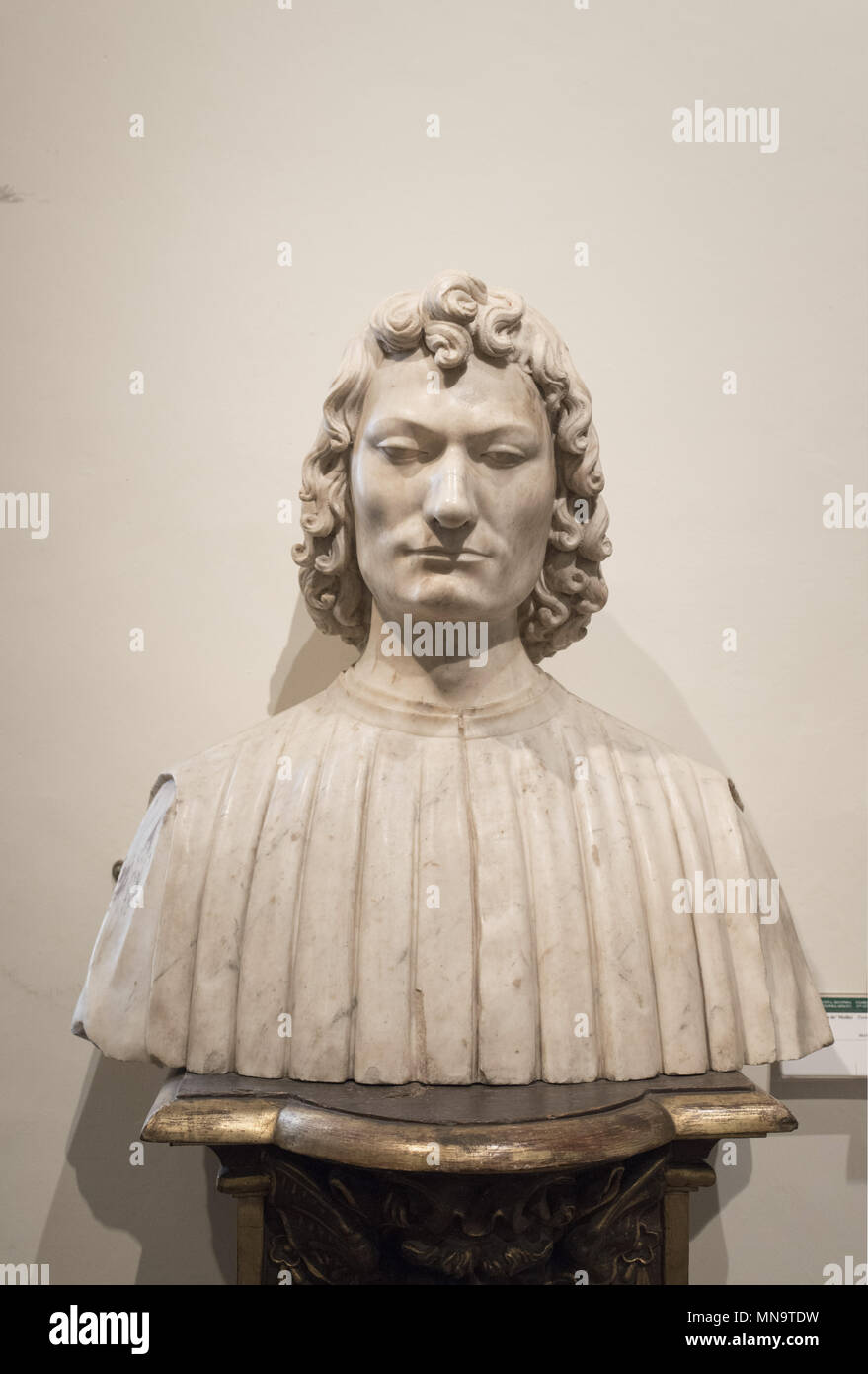 Antonio del Pollaiolo ? - Portrait of  Giuliano de' Medici -  Bargello Museum Florence Stock Photo