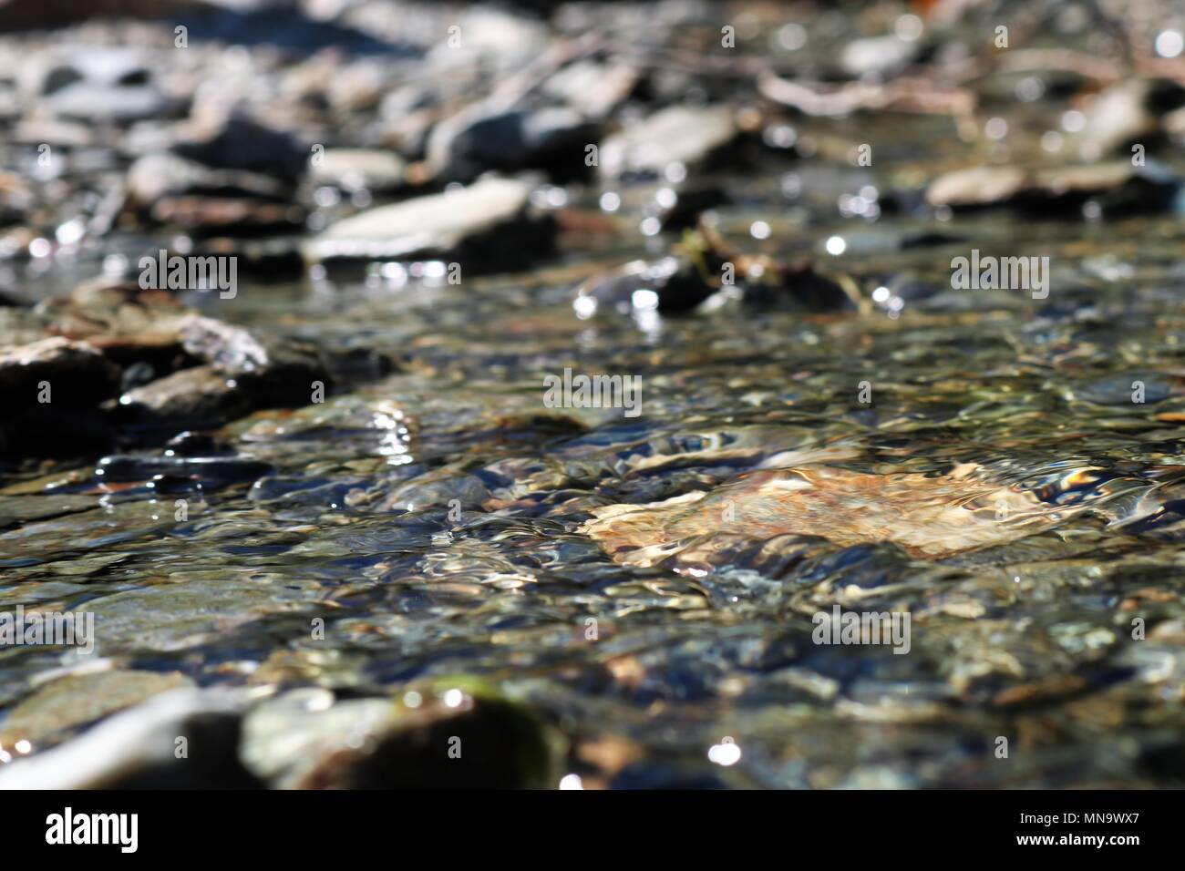 Beautiful close up of fresh clear water rippling over peddles with blurred background Stock Photo