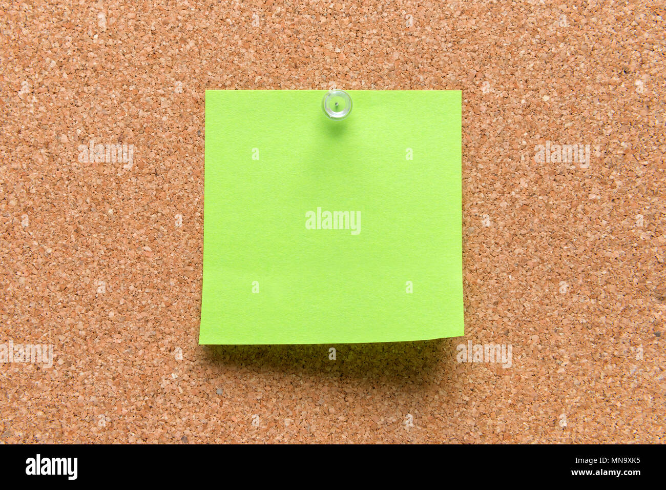 empty square green pinned sheet on a brown cork reminder Stock Photo