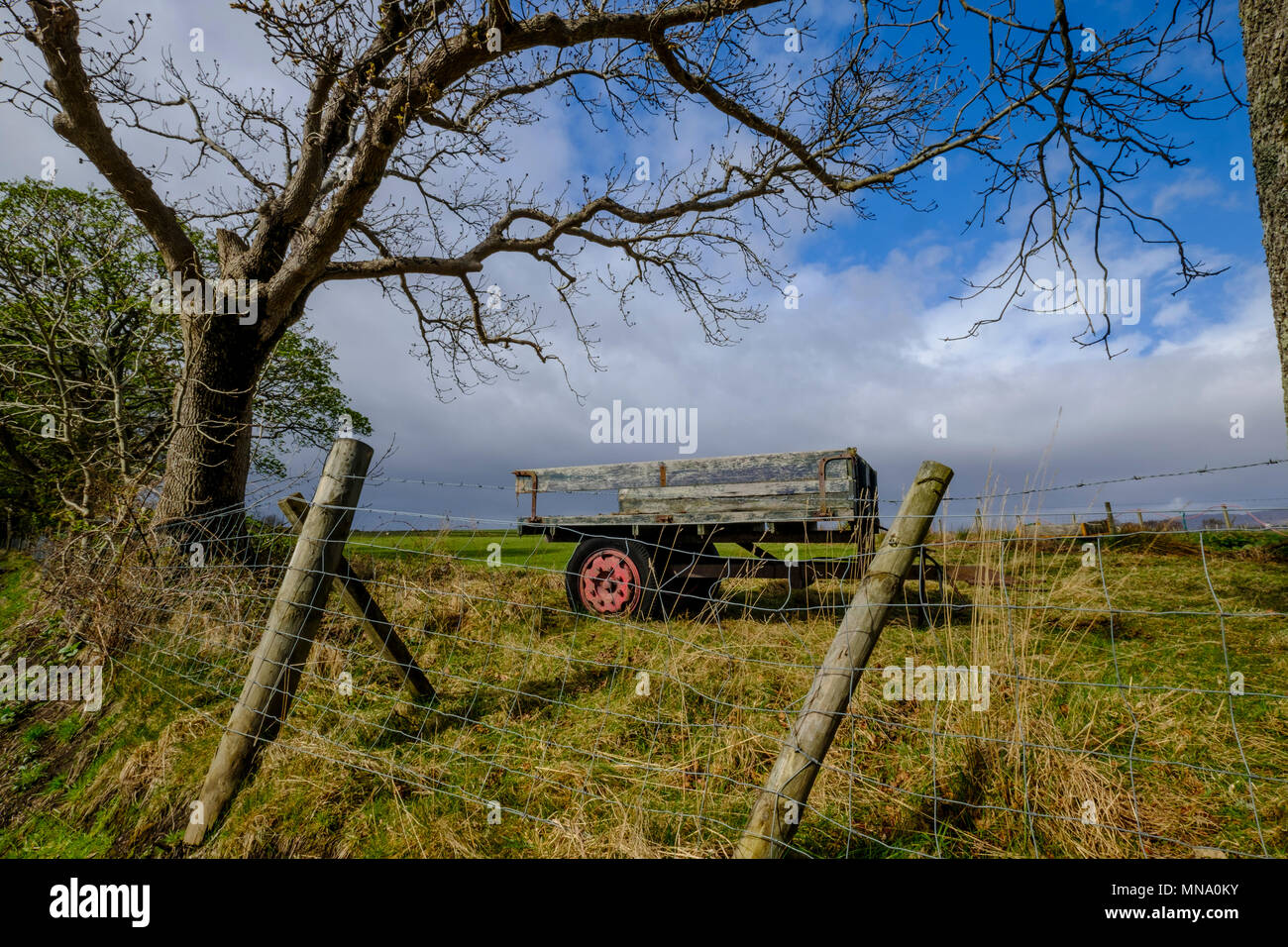 Landscape format of Scottish rural scene of old weathered farm trailer in field with tree branches and cloudy sky Stock Photo