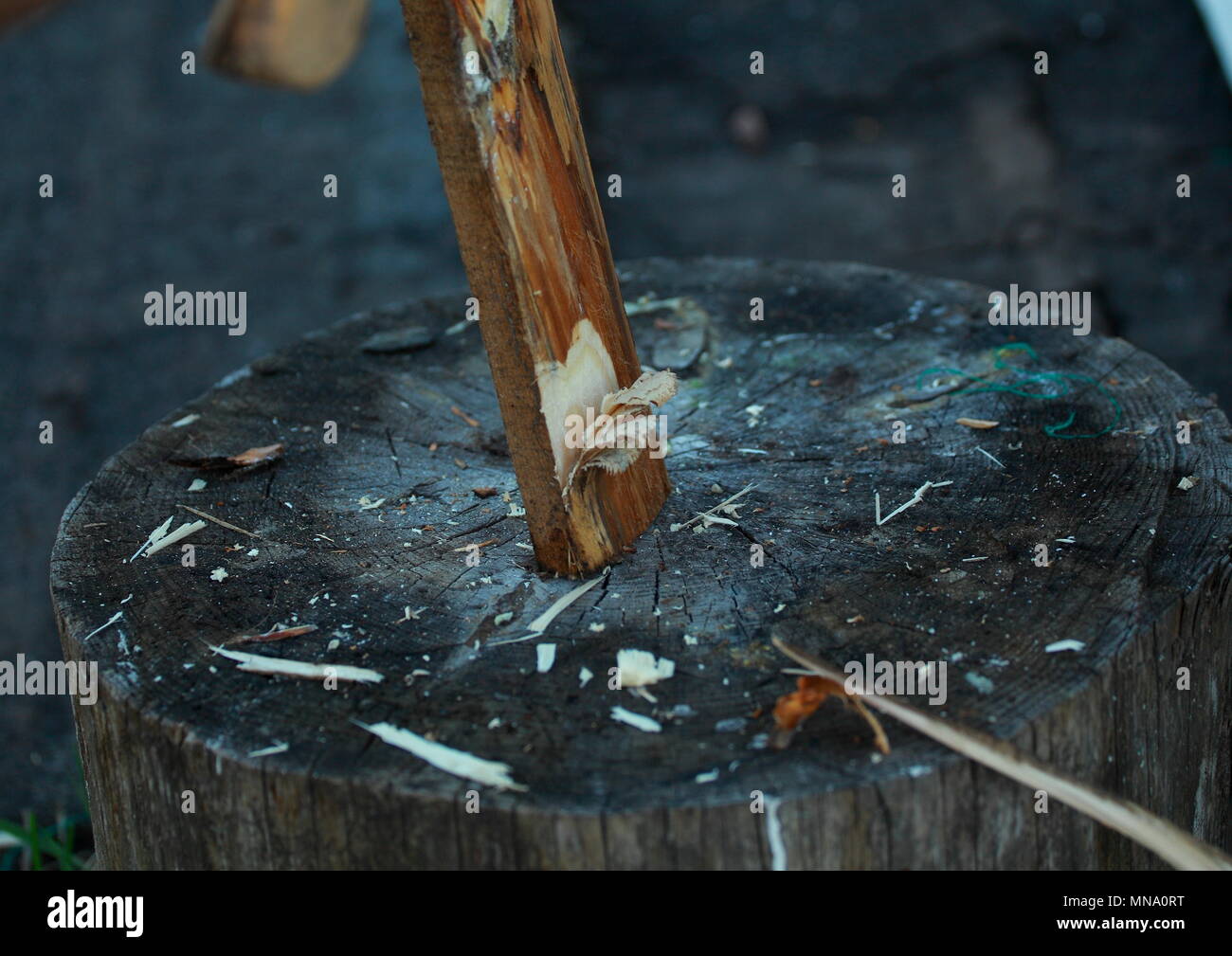 Man chopping wood. Cut from the ax on the Board. Stock Photo