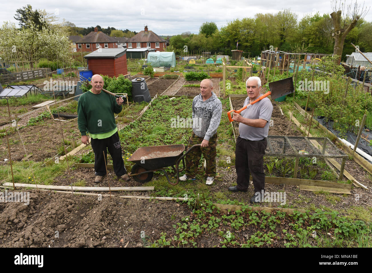 Gardeners at Woodside Allotments and Leisure Gardeners Association in