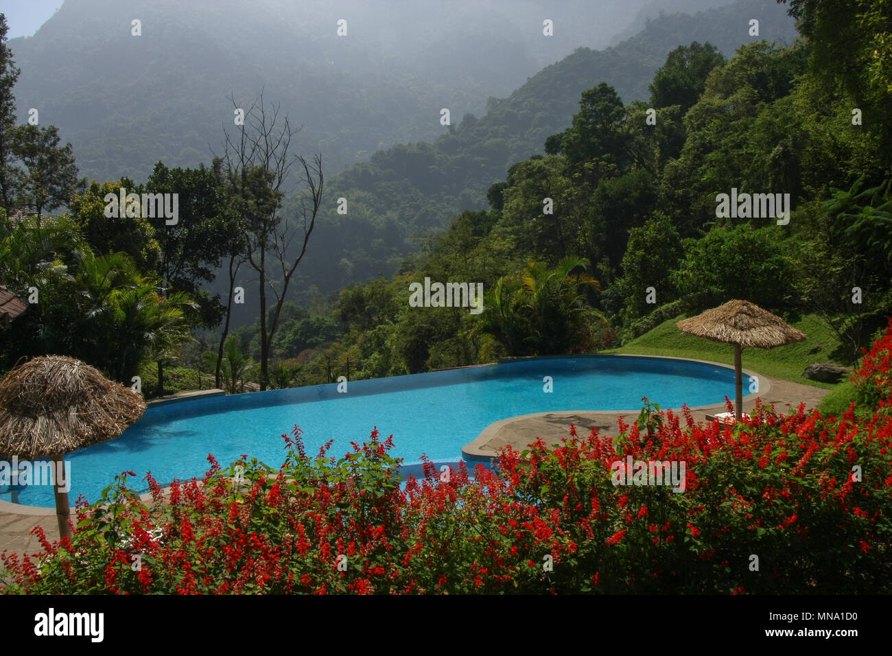 Fabulous Swimming Pool of Kurumba Village Resort (Coonoor) Stock Photo