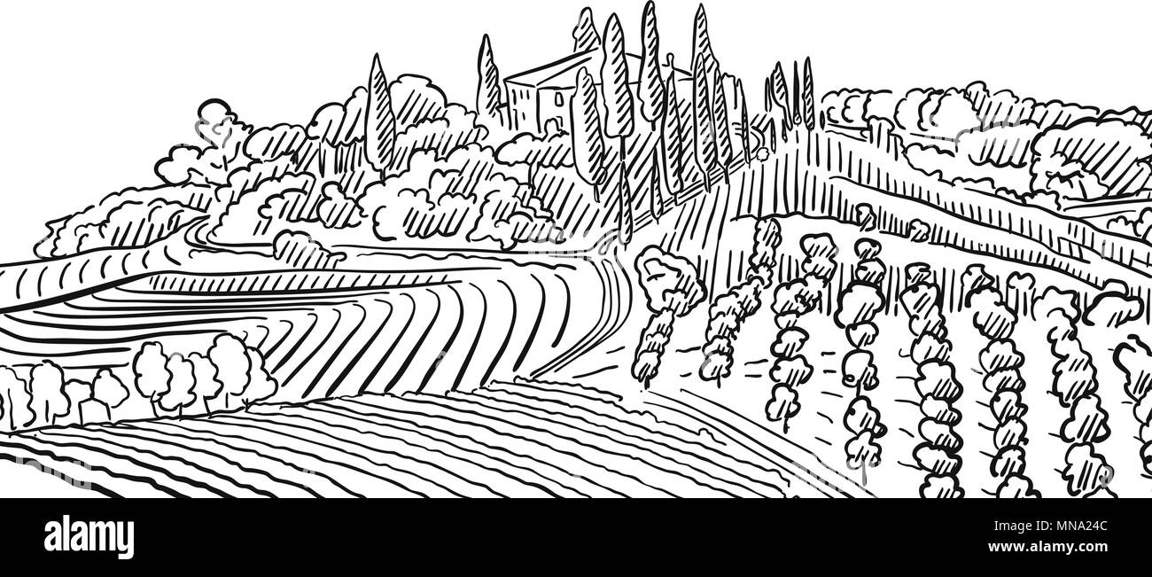 Provence Landscape Apple Plant and Vineyard, Vector Sketched Outline Artwork Stock Vector