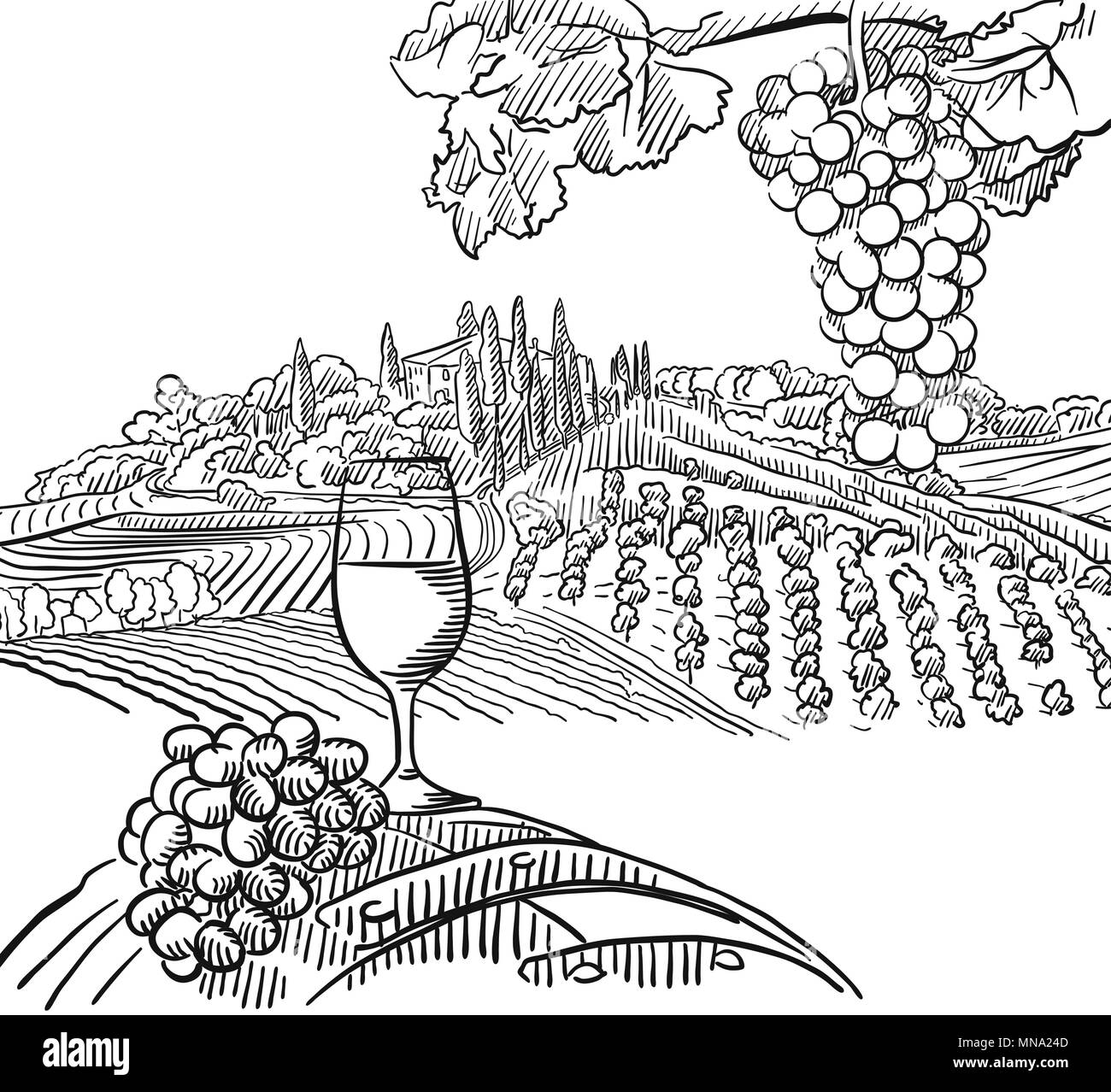 Vineyard Composition with Grapes and Glass of Vine, Vector Sketched Outline Artwork Stock Vector