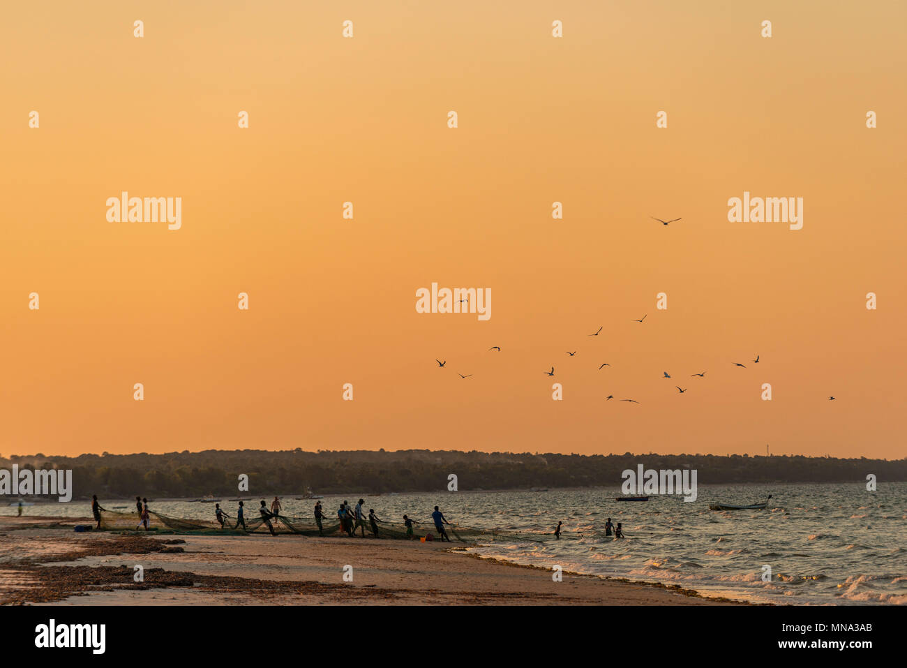 Local fishermen in Inhassoro Mozambique pulling in nets. Stock Photo