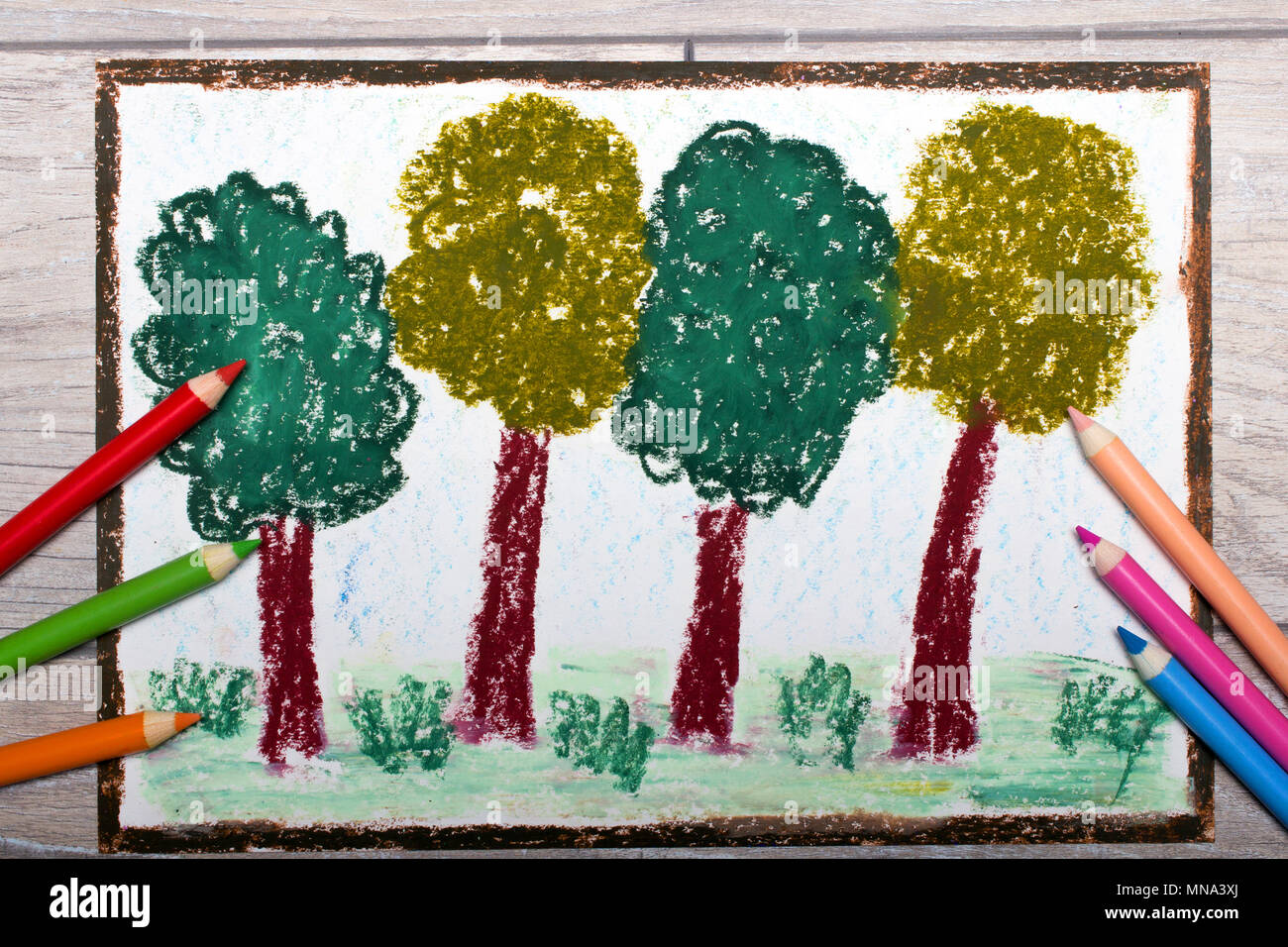 Colorful Hand Drawing And Crayons Deciduous Trees Spring Forest Stock Photo Alamy