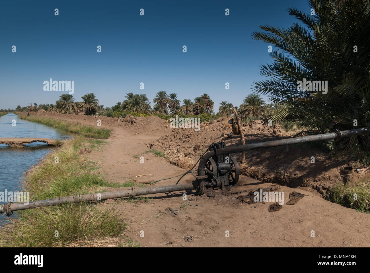 Nile river egypt irrigation canals hi-res stock photography and images ...