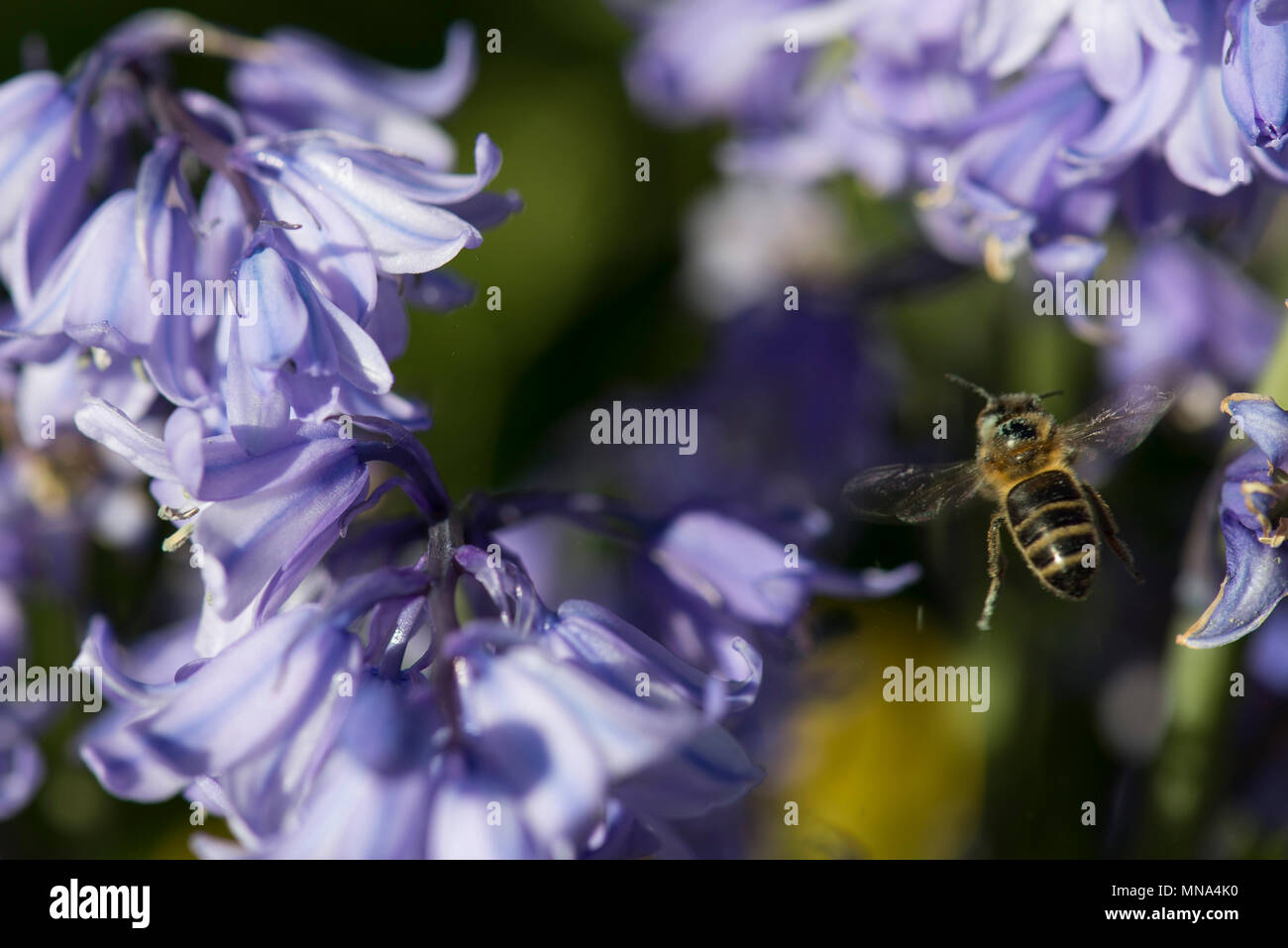 Collecting by theme hi-res stock photography and images - Alamy