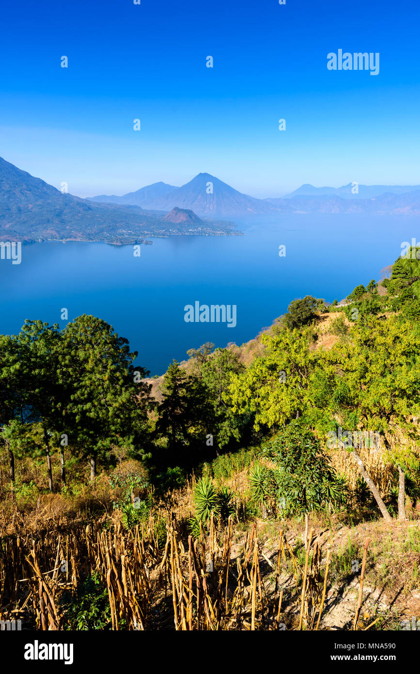 Panorama view of the lake Atitlan and volcanos in the highlands of ...