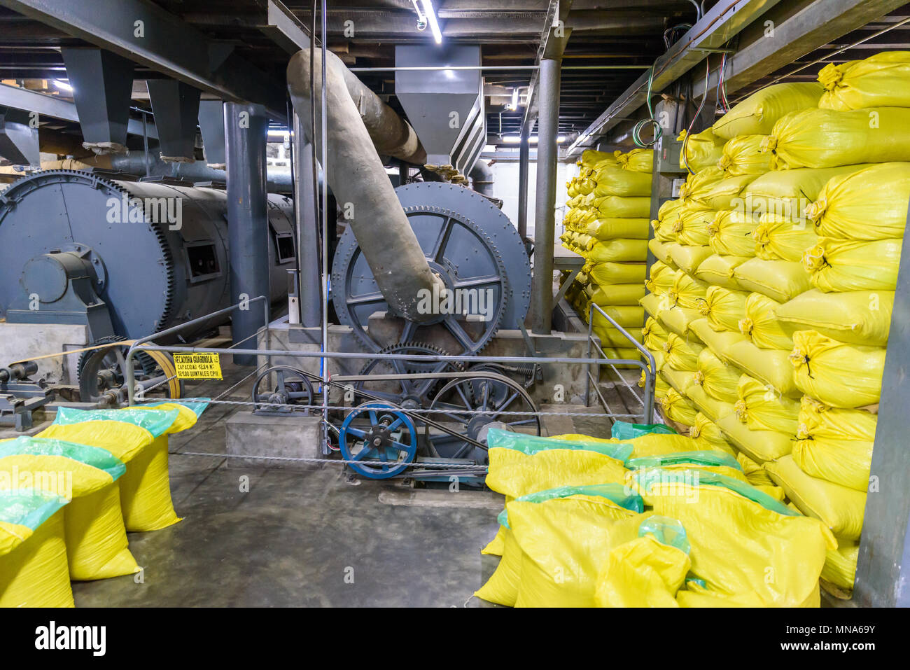 Coffee production. Coffee beans during the roasting process. Drum type