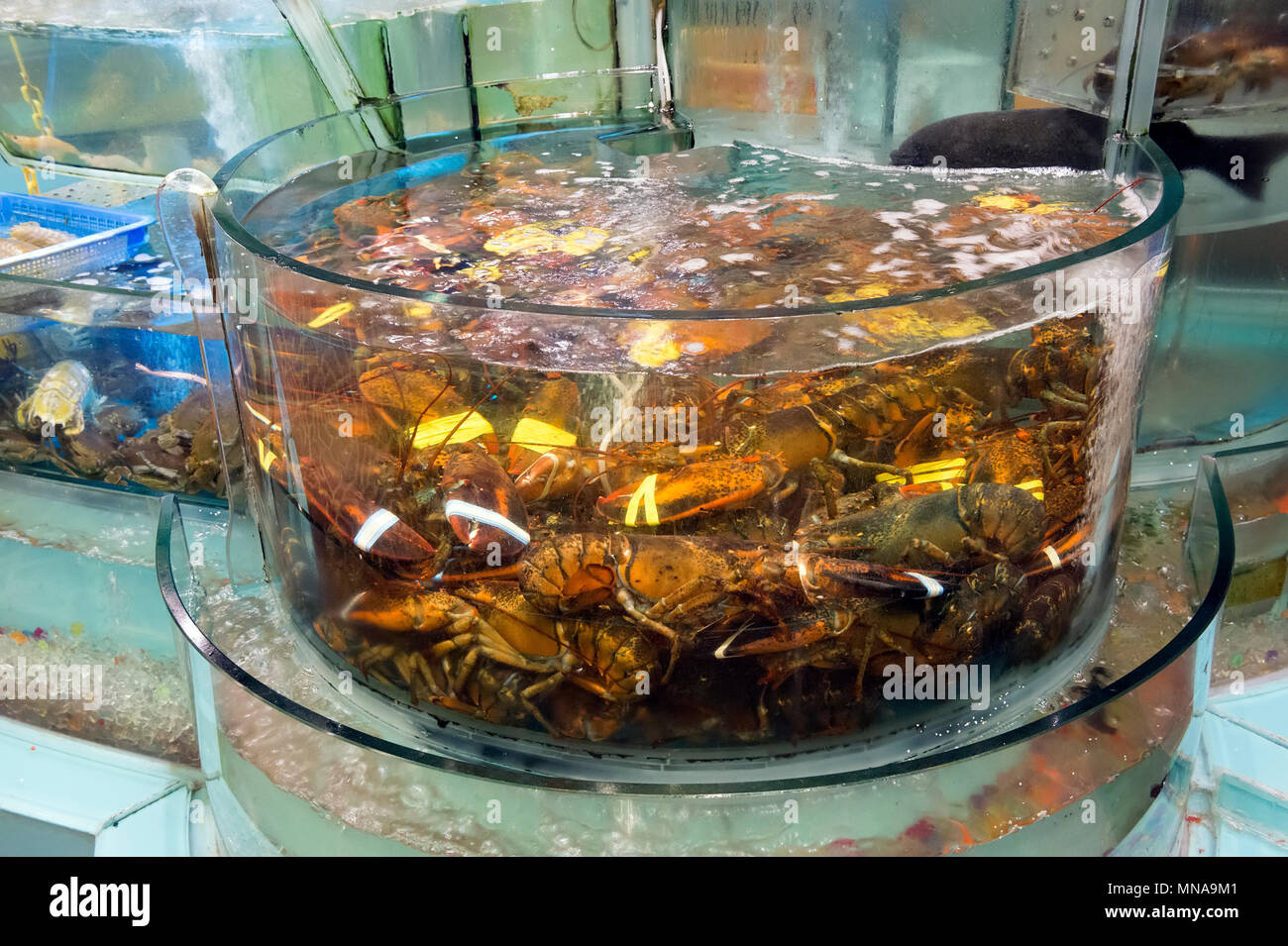 Chinese hotsell fish tank