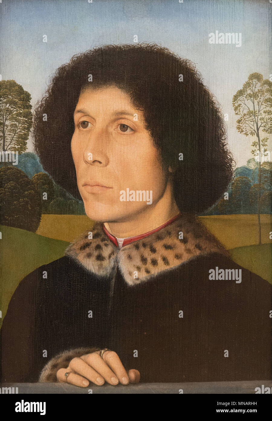 Hans MEMLING -  Portrait of a man - C. 1490 - Uffizi Gallery - Galleria degli Uffizi Stock Photo