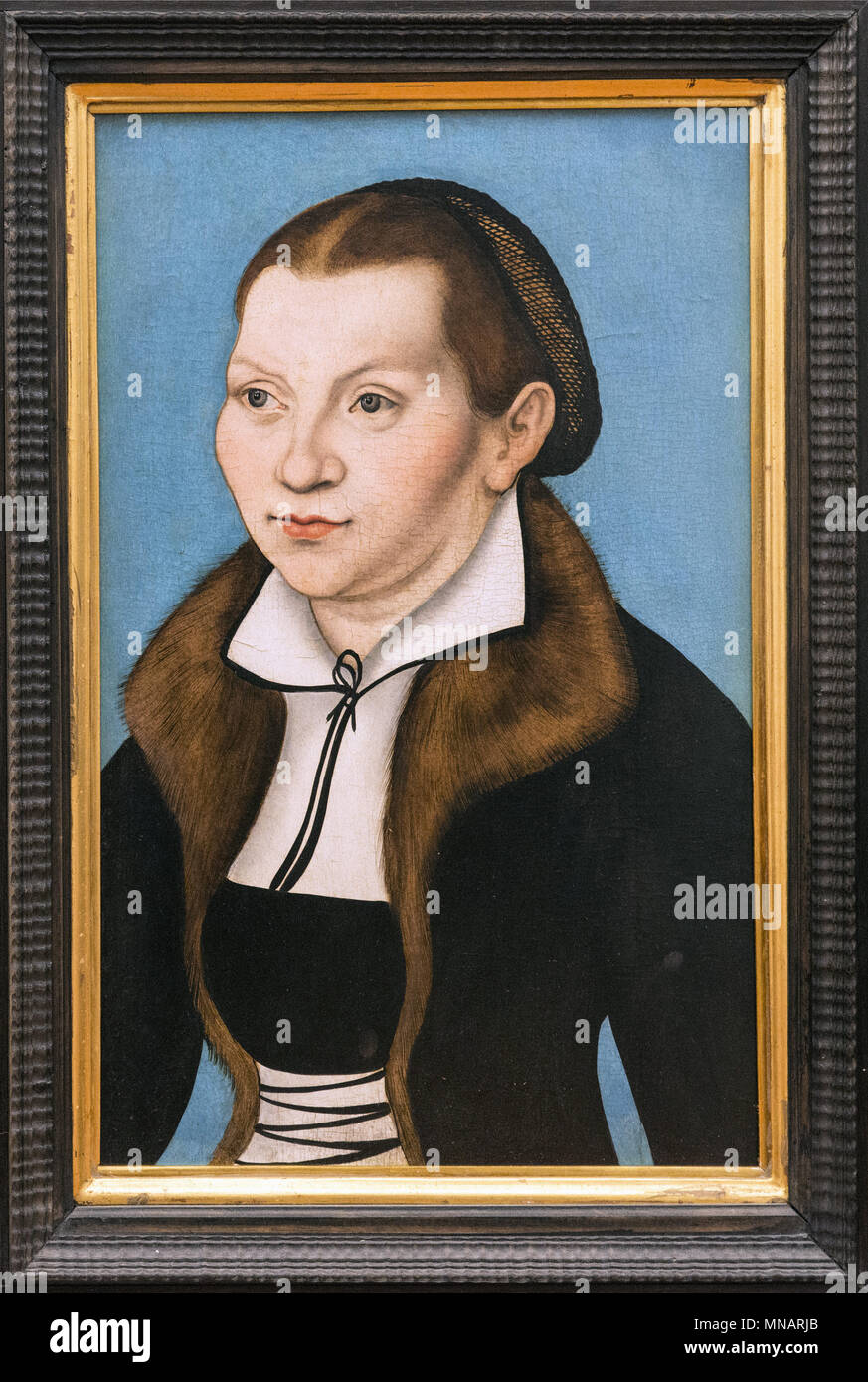 Lukas Cranach the Elder - Portrait of Katharina von Bora, wife of Martin Luther - 1529 - Uffizi Gallery - Galleria degli Uffizi Stock Photo