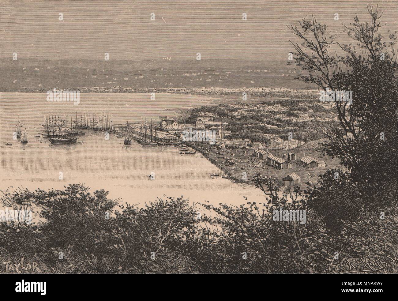 Port Natal (Durban) and Durban View from the Bluff. South Africa 1885 print Stock Photo Alamy