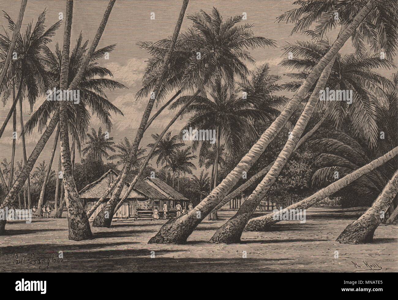 French Polynesia 1885 old antique print Landscape in the Tuamotu Archipelago