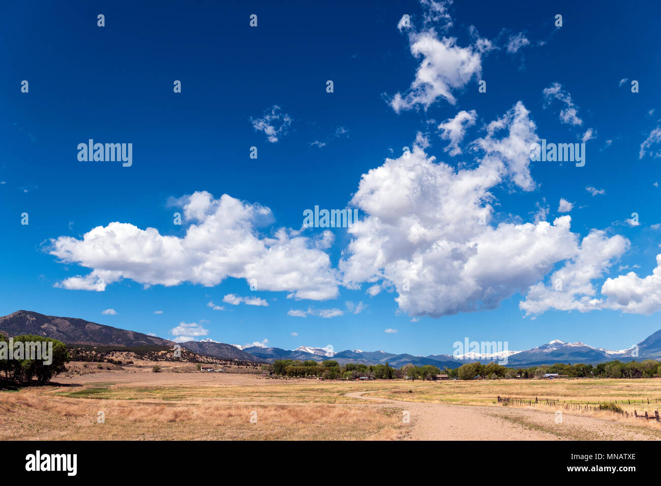 Puffy white clouds against a clear azure blue sky; Vandaveer Ranch; Salida; Colorado; USA Stock Photo
