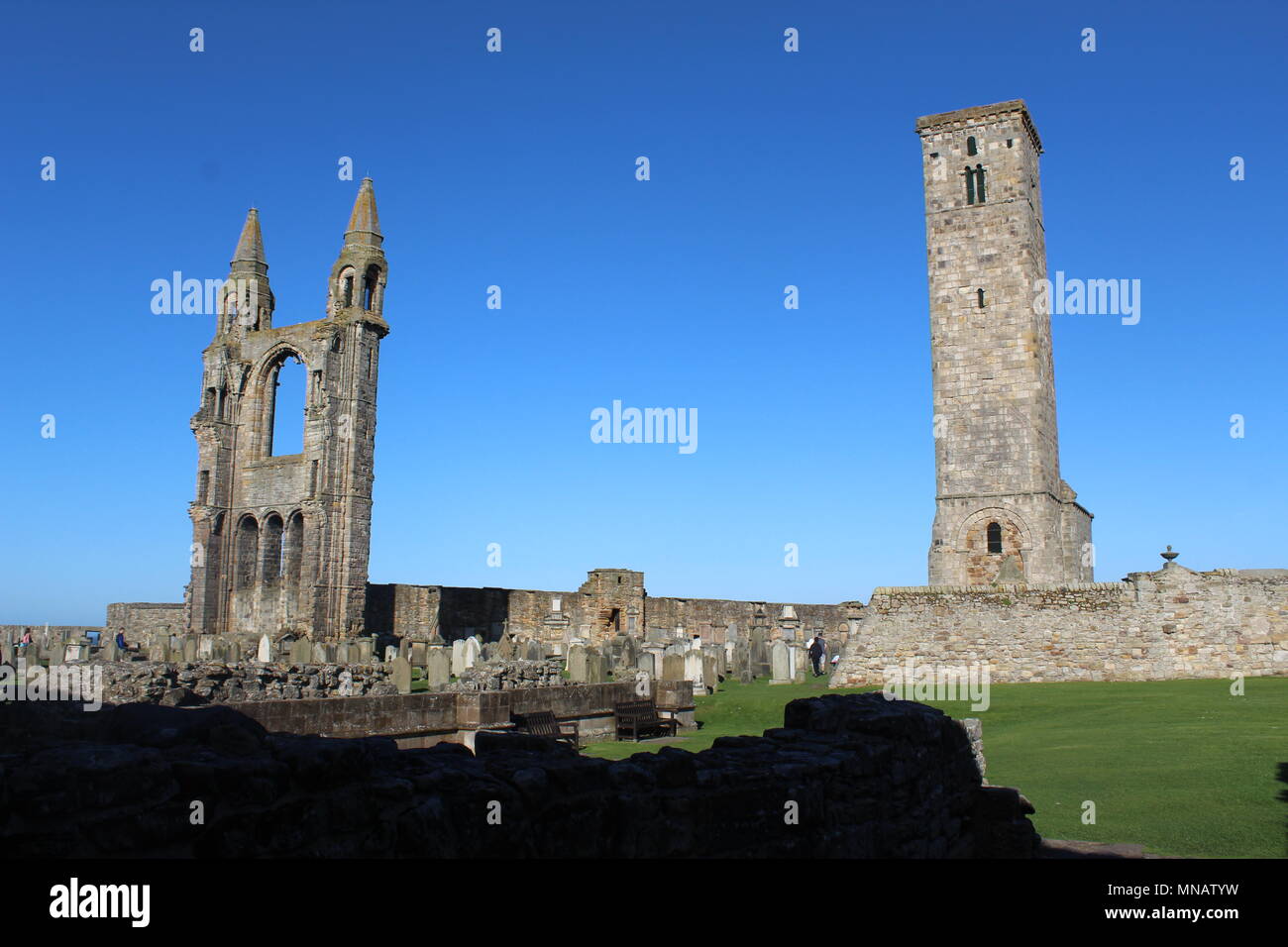The Cathedral of St. Andrews, Scotland Stock Photo