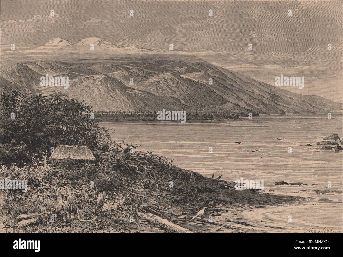 Sierra Nevada de Santa Marta - East view at Punta Tapias. Colombia 1885 print Stock Photo