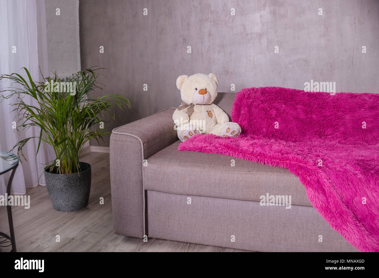 Teddy Bear sitting on sofa couch with purple blanket, plaid. Palm