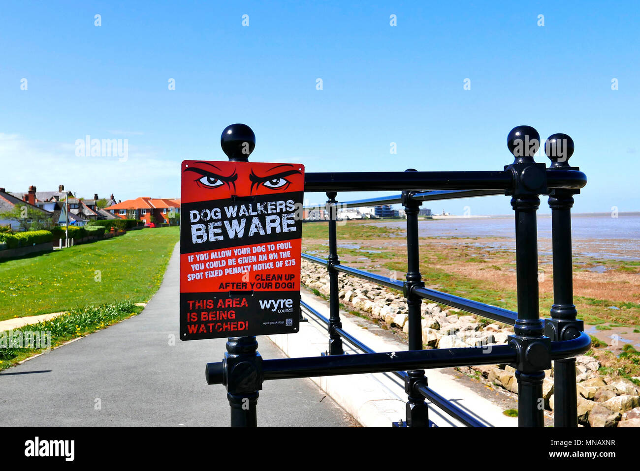 Sinister no dog fouling sign on the River Wyre estuary footpath at Knott End,Lancashire,UK Stock Photo