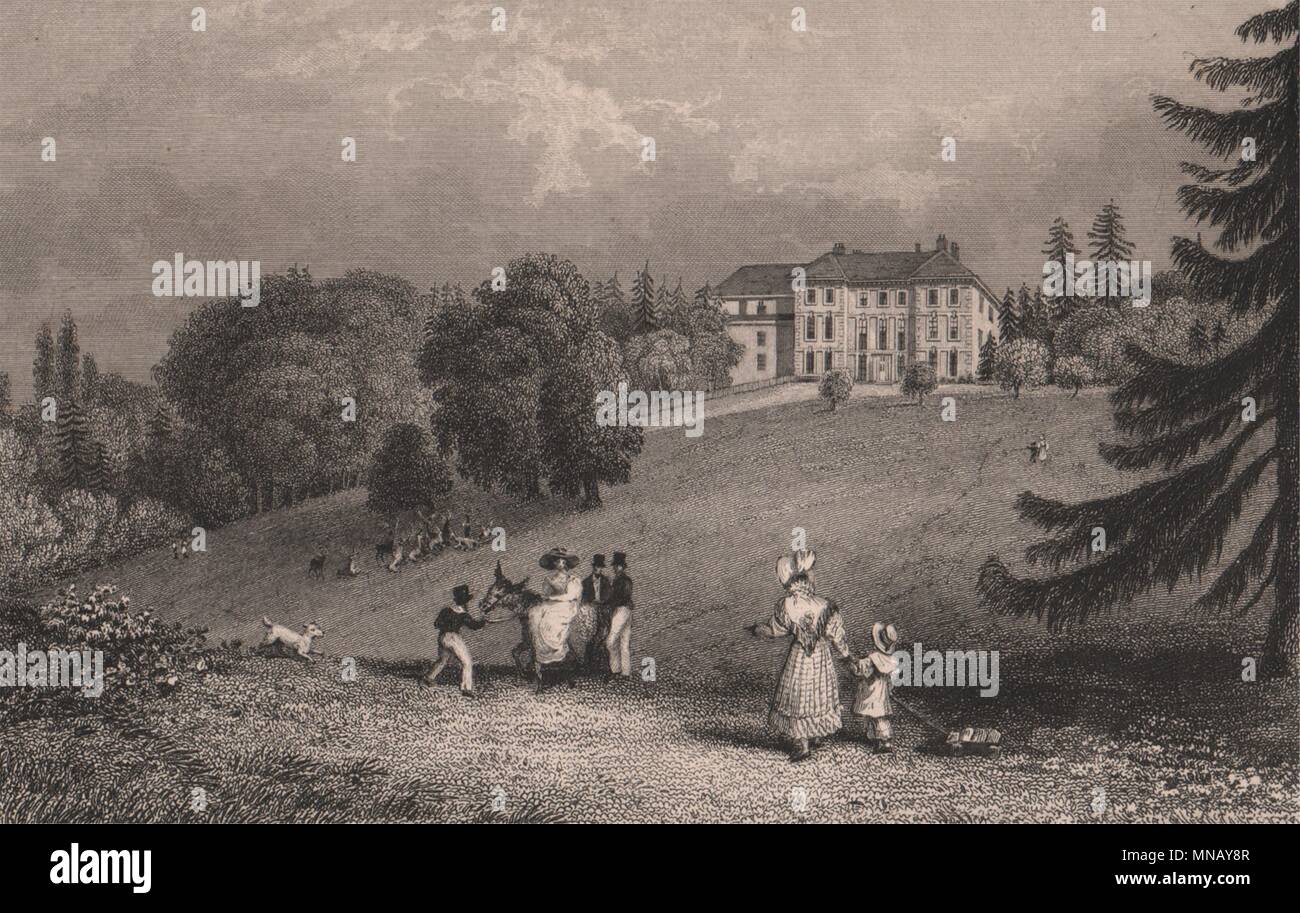 Seal house london hires stock photography and images Alamy