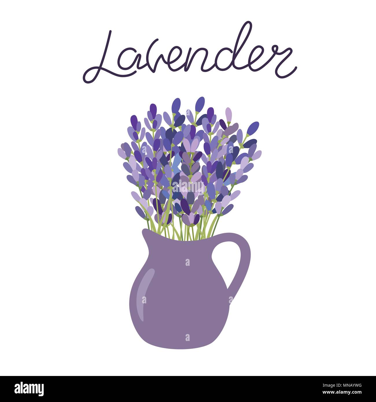 Lavender flowers in a vase. Lettering lavender Stock Vector Image & Art