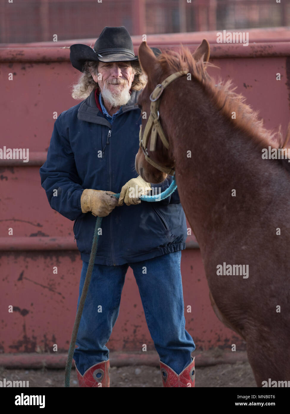 Authentic Working Cowboy Stock Photo - Alamy