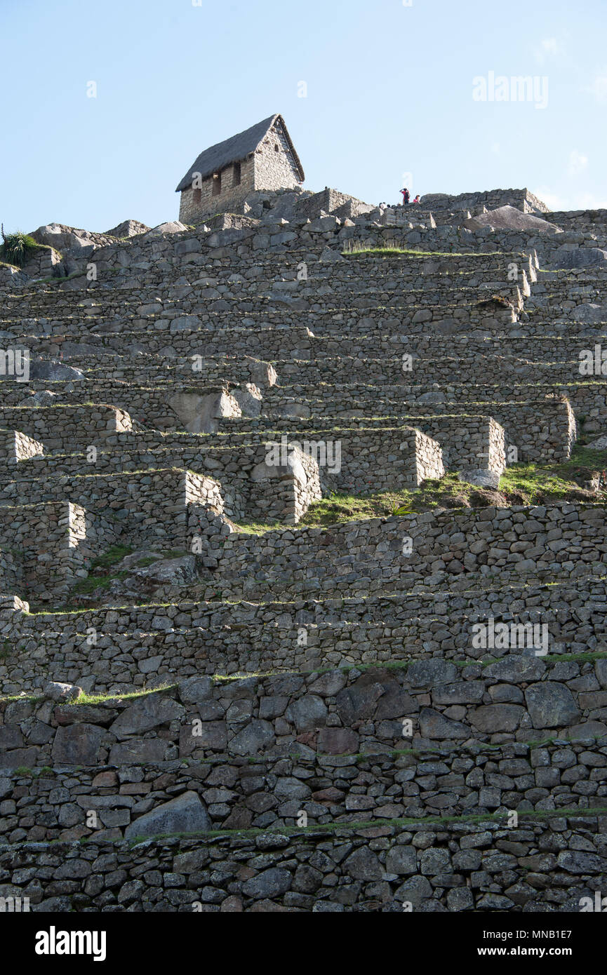 The stepped ruin walls of Machu Picchu in Peru Stock Photo - Alamy