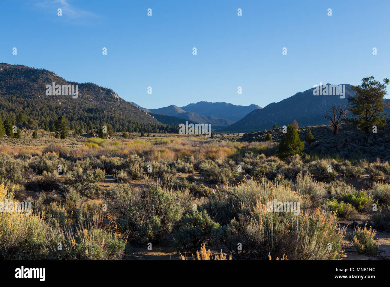 Kennedy Meadows high in the Southern Sierra Nevada mountains a popular
