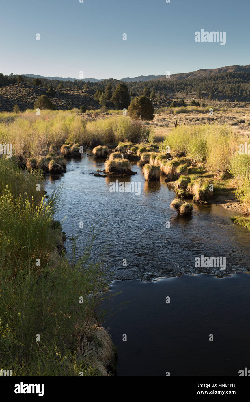 south fork kern river at kennedy meadows on the Sherman Pass Road Southern Sierra Nevada California USA Stock Photo