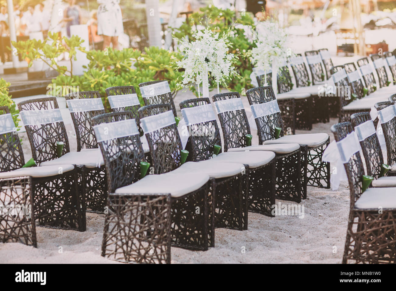 A group of black weave wooden chairs with white sash decoration and cone of rose petals arrangement for beach wedding venue on the white sand Stock Photo