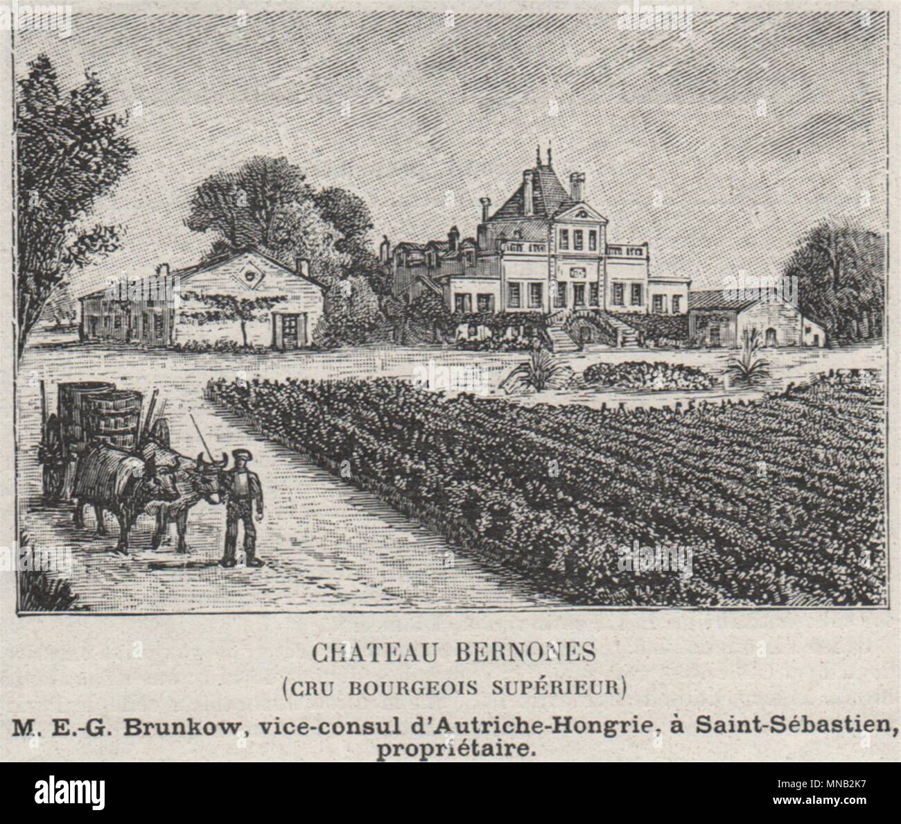 MÉDOC. CUSSAC. Chateau Bernones (Cru Bourgeois Supérieur). Brunkow. SMALL 1908 Stock Photo