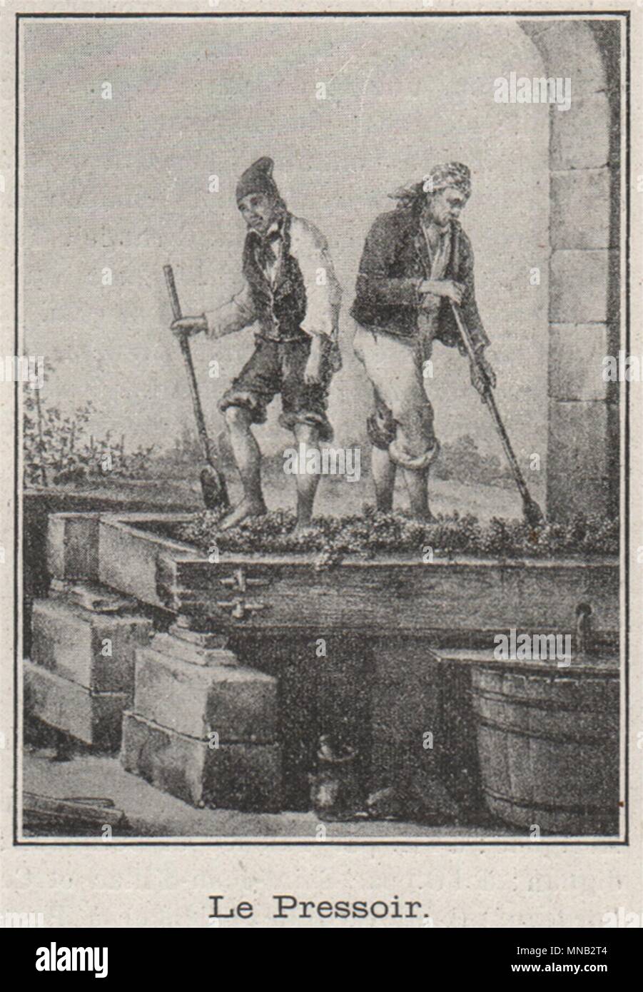 Pressoir hires stock photography and images Alamy