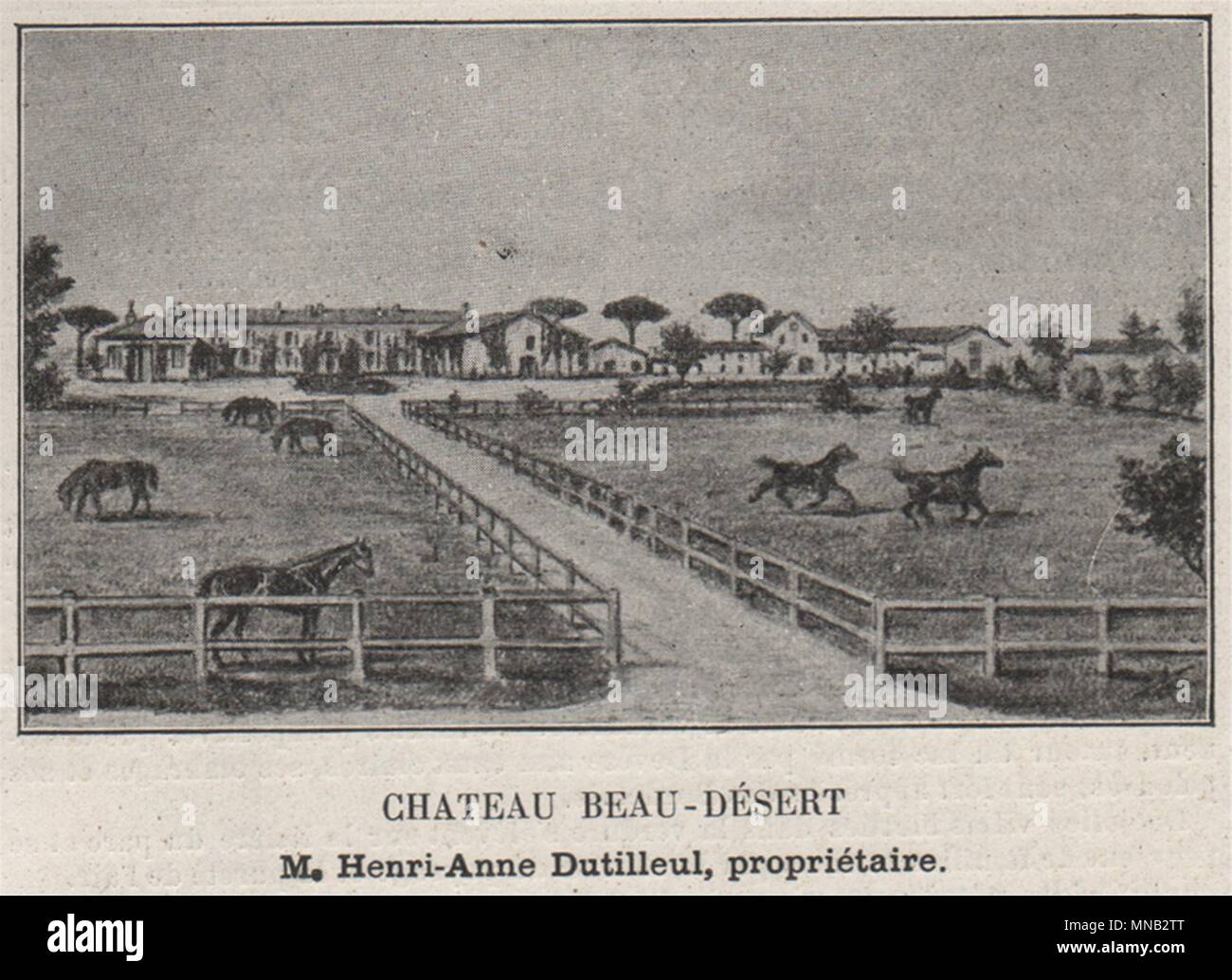 GRAVES. MÉRIGNAC. Chateau Beau-Désert. Dutilleul. Bordeaux. SMALL 1908 print Stock Photo