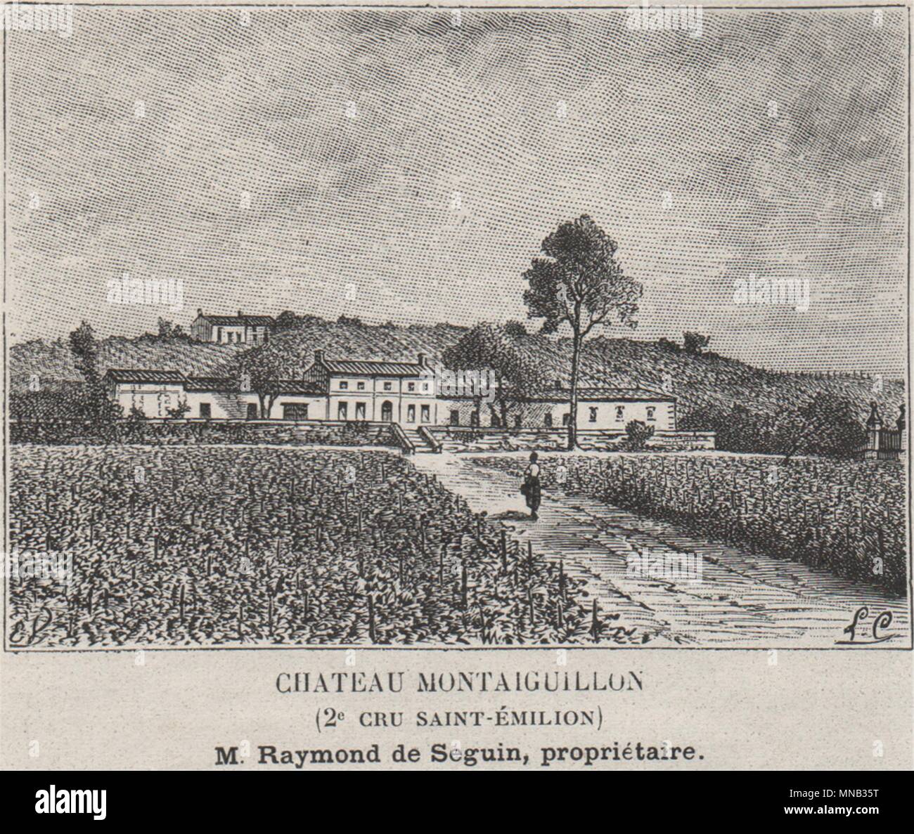 MONTAGNE. Chateau Montaiguillon (2e Cru Saint-Émilion). Bordeaux. SMALL 1908 Stock Photo