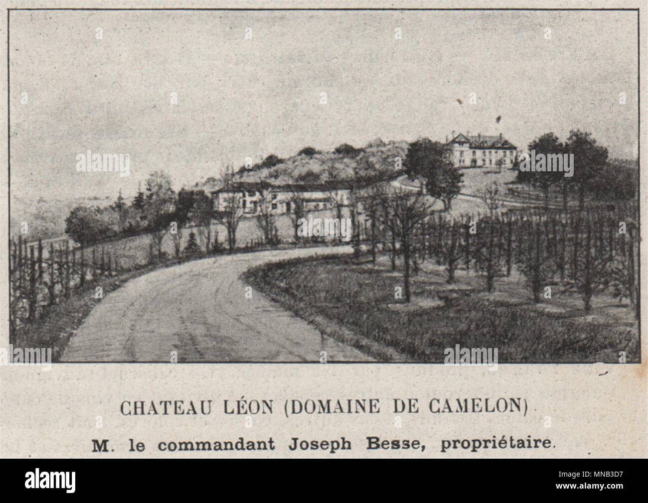 ENTRE-DEUX-MERS. CARIGNAN. Chateau Lèon (Domaine de Camelon). Besse. SMALL 1908 Stock Photo