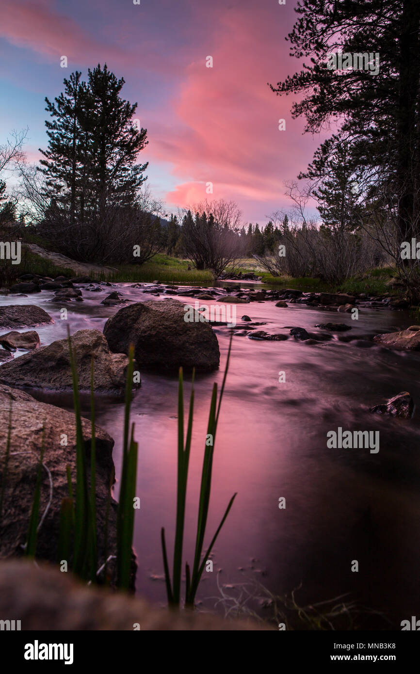 Fish Creek at Fish Creek campground just off Sherman Pass rd part of