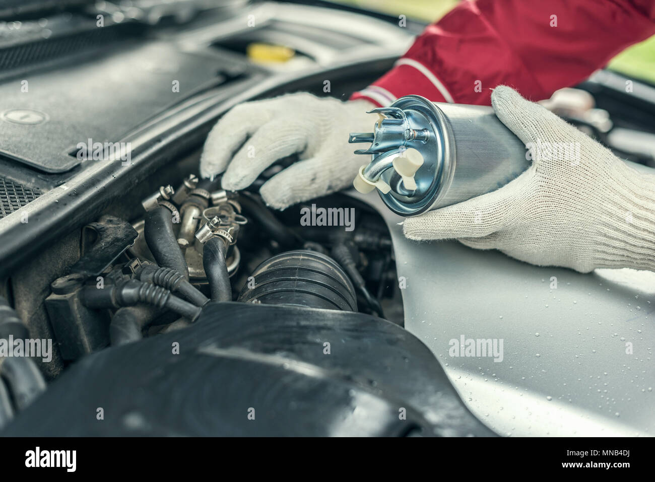An auto mechanic replaces a car's fuel filter Stock Photo Alamy