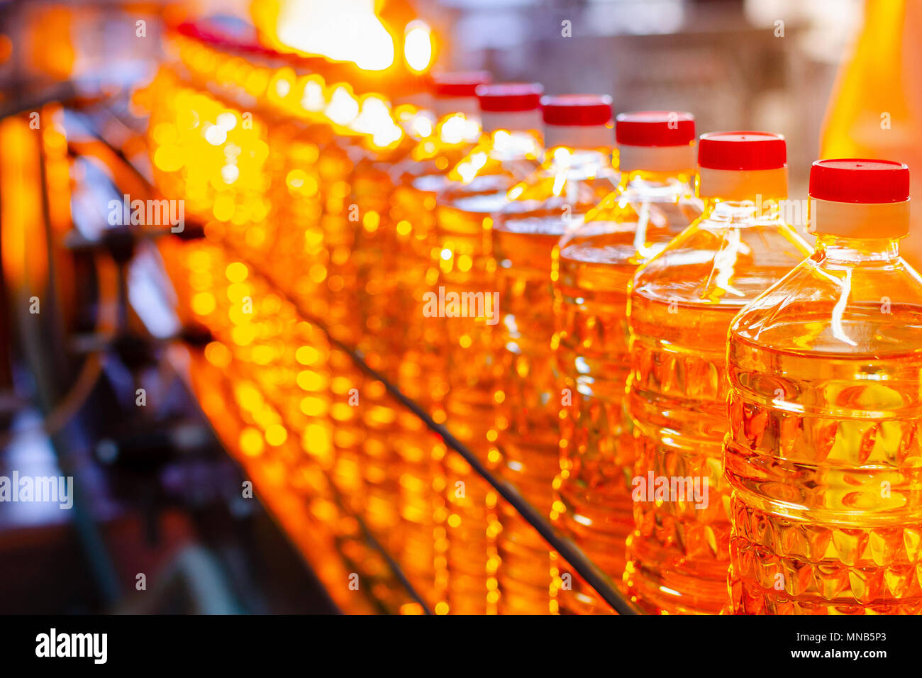 Sunflower oil. Factory line of production and filling of refined oil