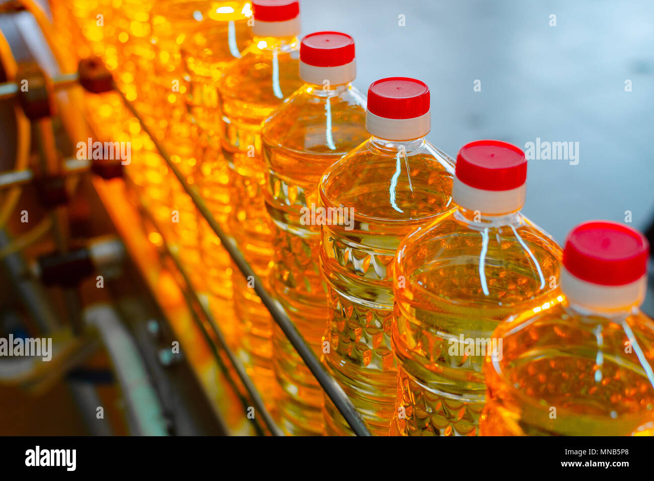 Sunflower oil. Factory line of production and filling of refined oil