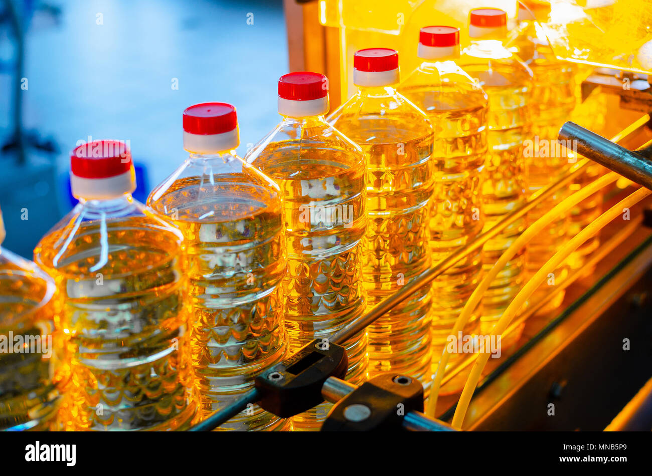 Sunflower oil. Factory line of production and filling of refined oil