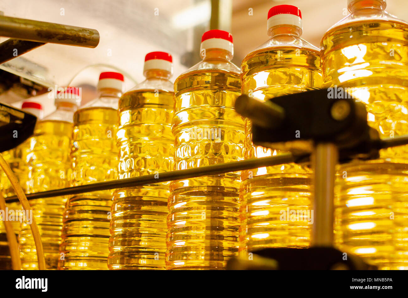 Sunflower oil. Factory line of production and filling of refined oil