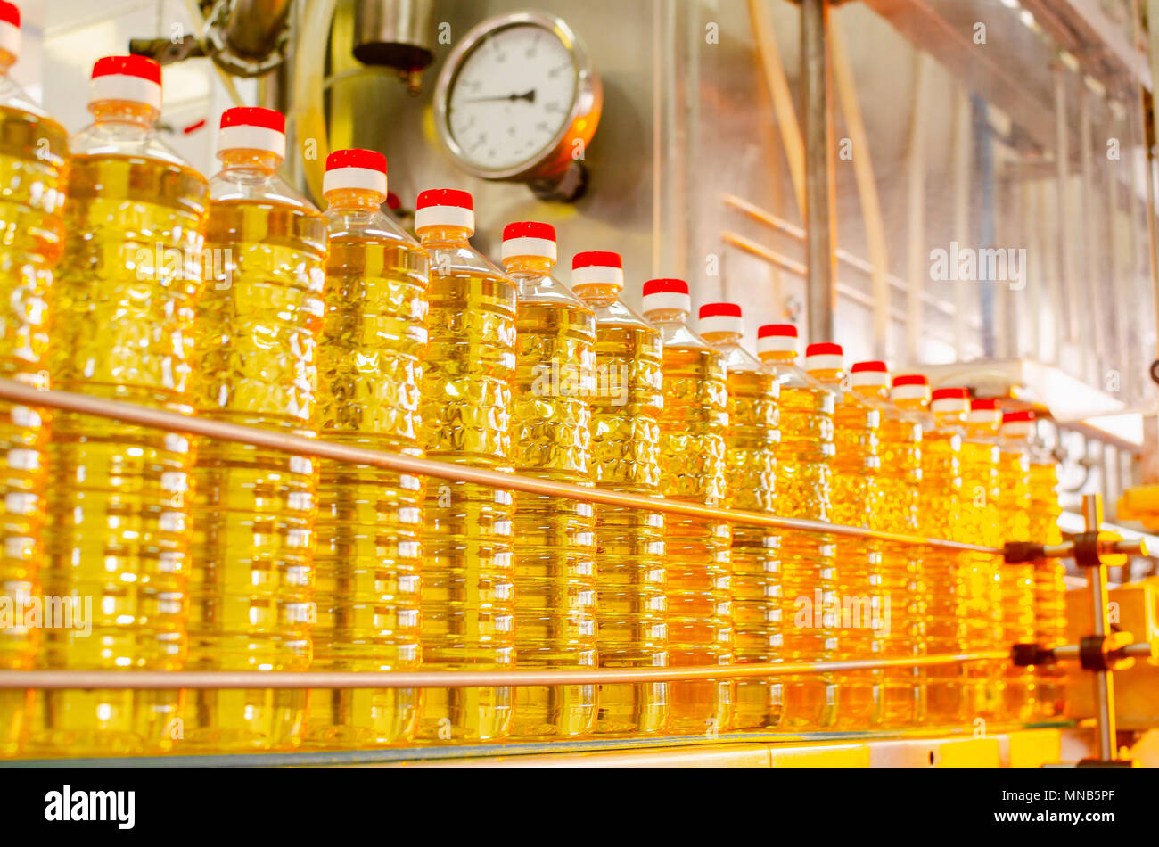Sunflower oil. Factory line of production and filling of refined oil