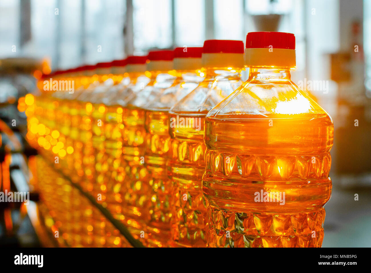 Sunflower oil. Factory line of production and filling of refined oil from sunflower seeds