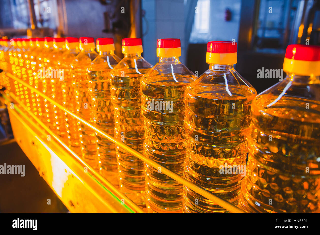Sunflower oil. Factory line of production and filling of refined oil