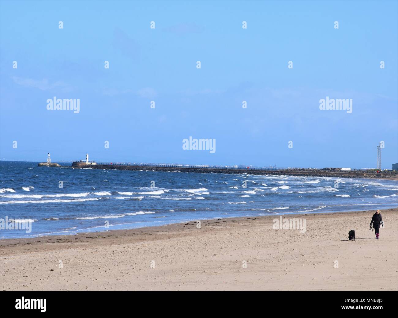 Woman walking her dog on the beach  at Ayr, Scotland, UK. Stock Photo