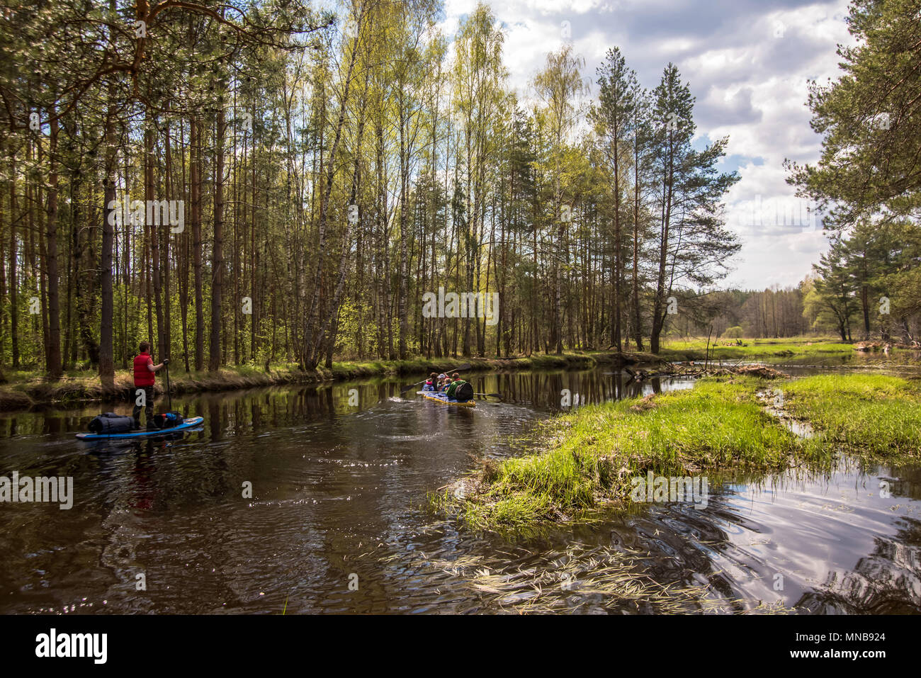 Bigforest hi-res stock photography and images - Alamy